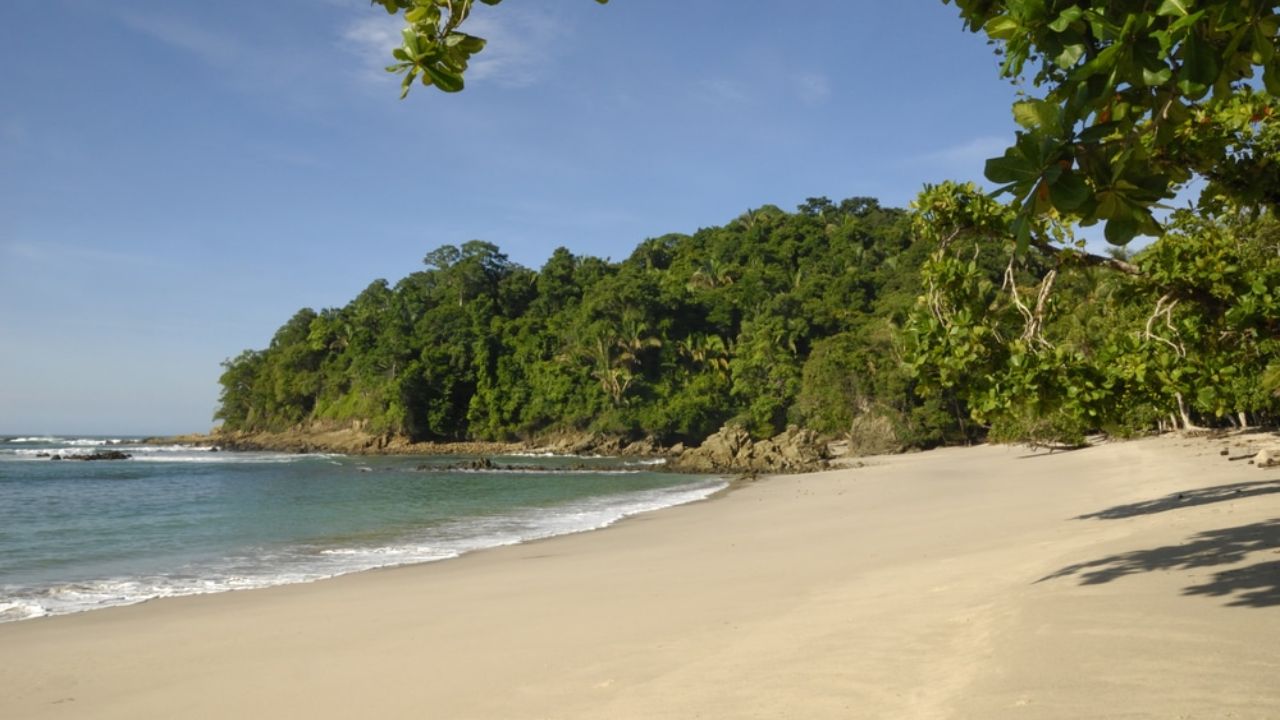 Manuel Antonio beach with rainforest backdrop and gentle waves.