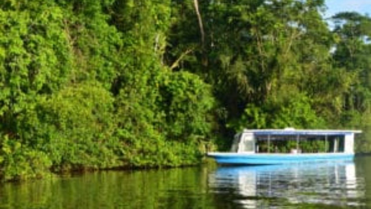 Tour boat floating through lush rainforest river in Tortuguero.