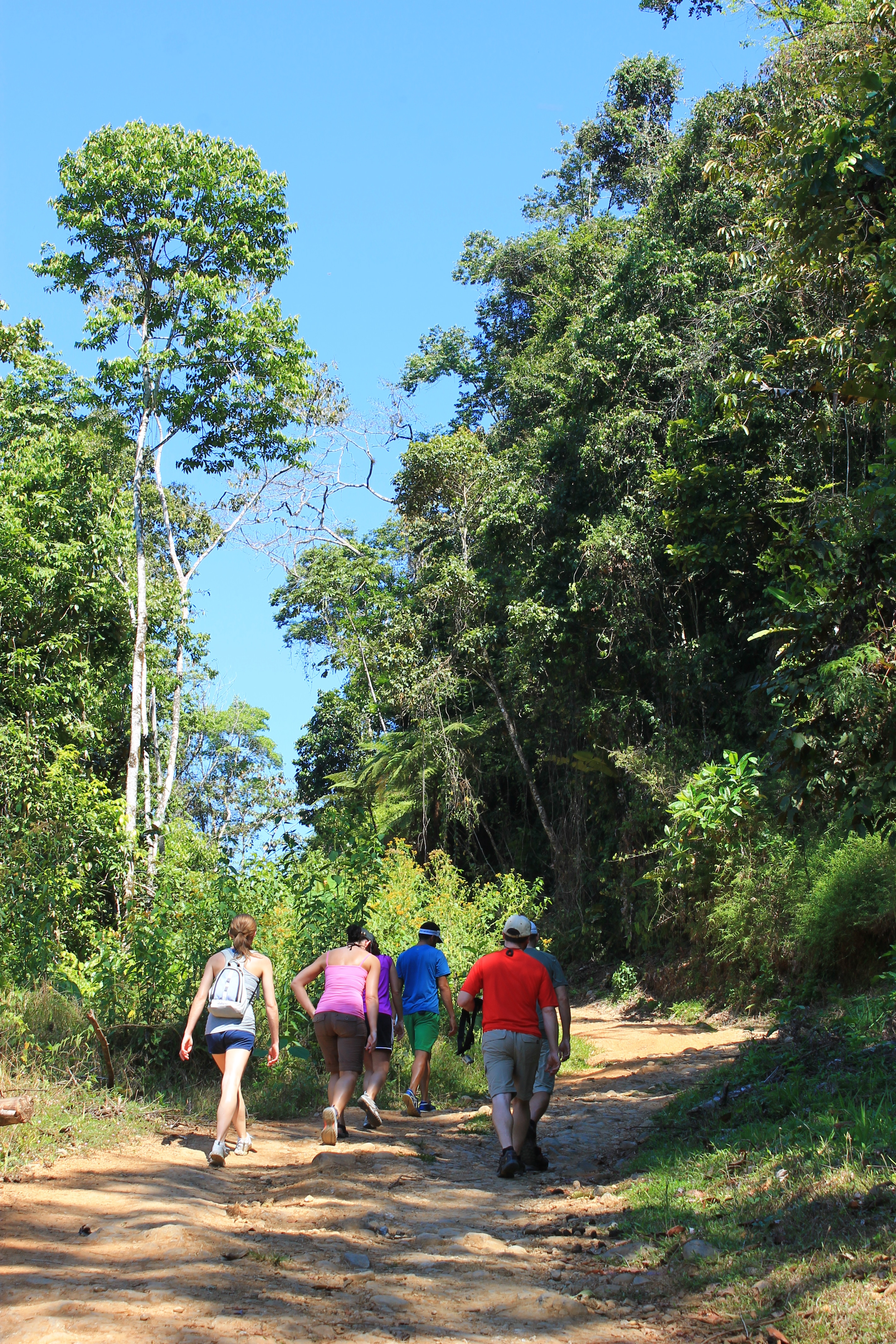 hiking costa rica's rainforest
