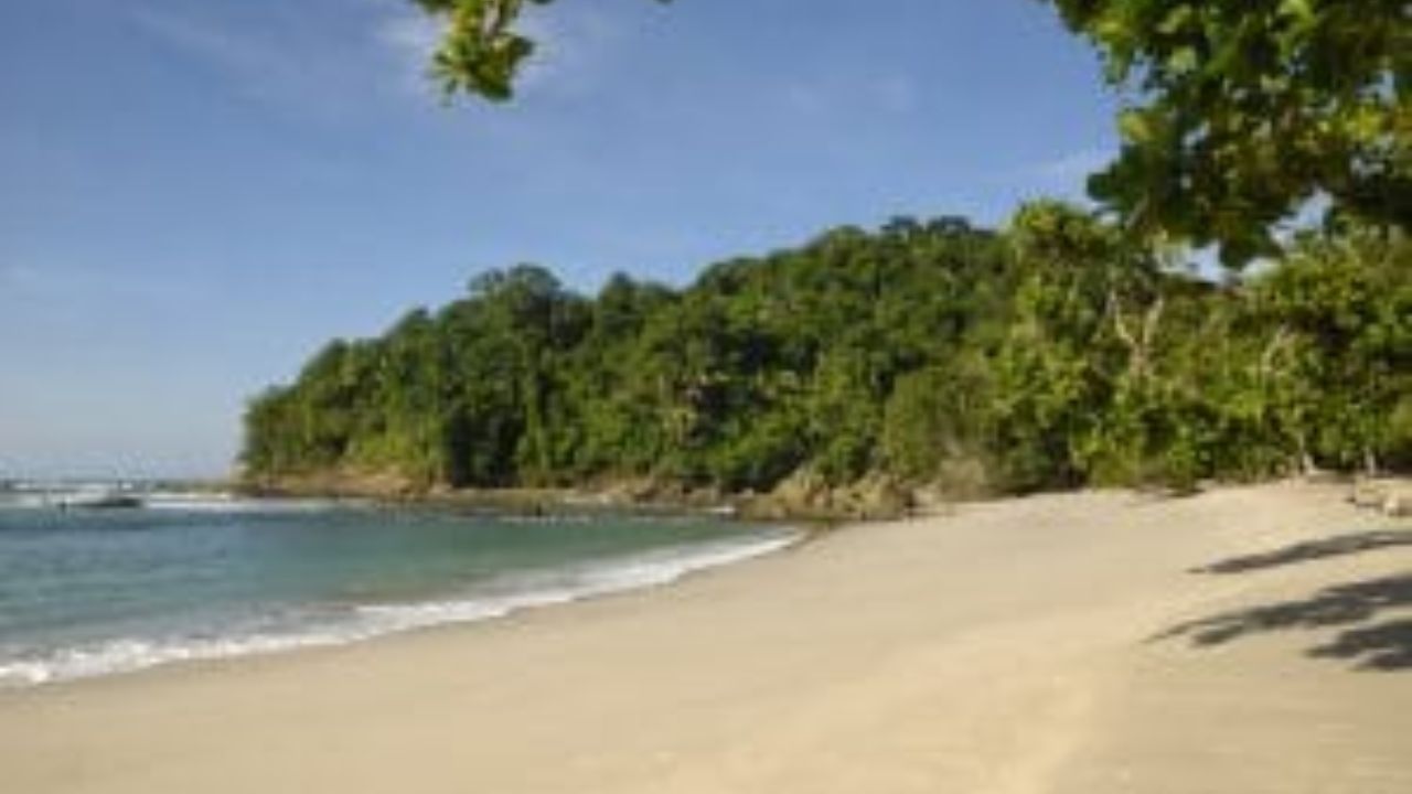  Sunny Manuel Antonio beach with forest backdrop and calm waves.