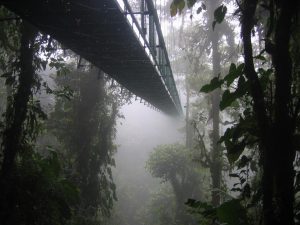 Monteverde Cloud Forest Biological Reserve