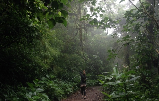 Hiking Monteverde Cloud Forest Monteverde Costa Rica Vacation