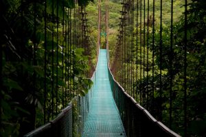 Cloud forest experience in Costa Rica