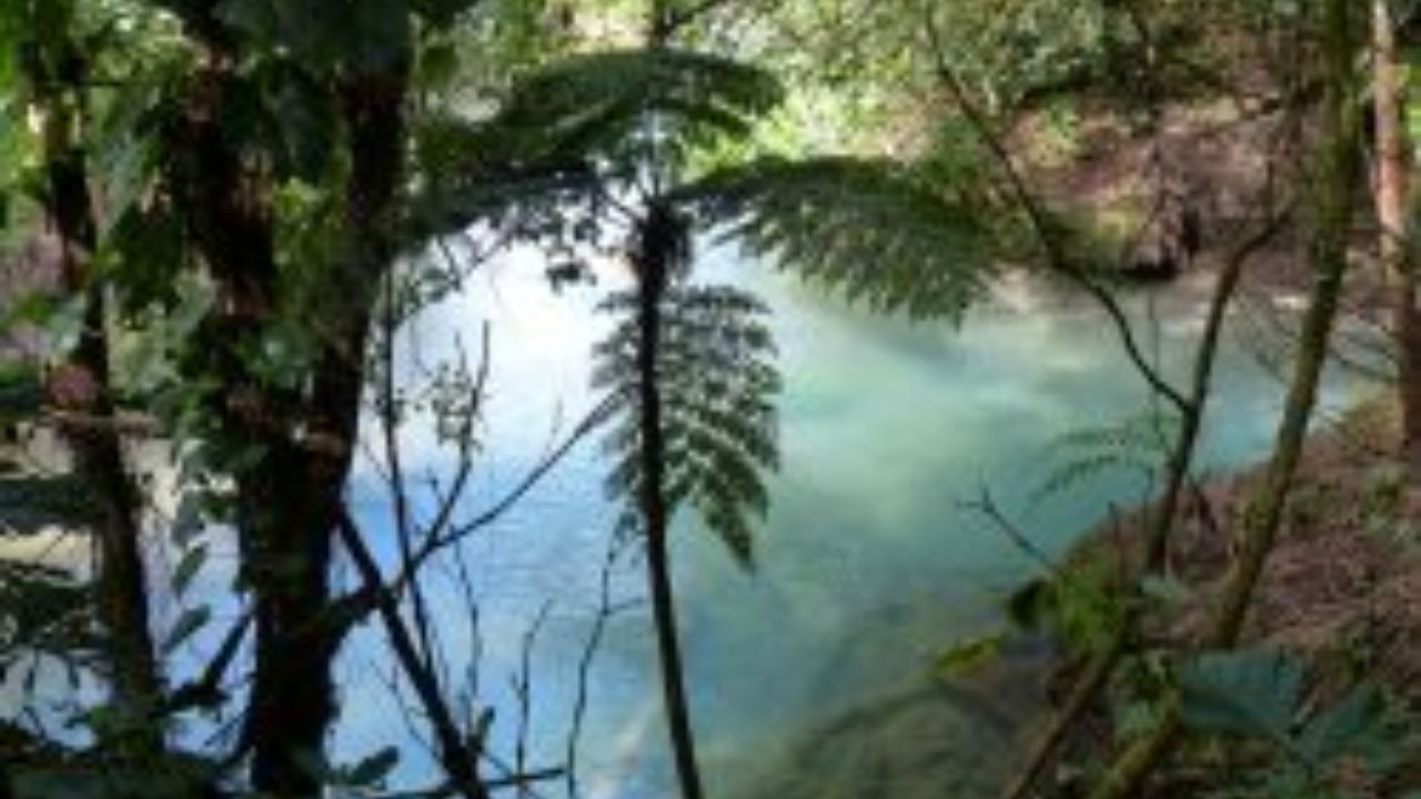 Turquoise rainforest pool surrounded by lush tropical vegetation in Costa Rica. 