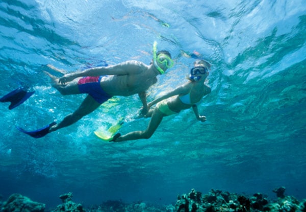 Caño Island Snorkeling.