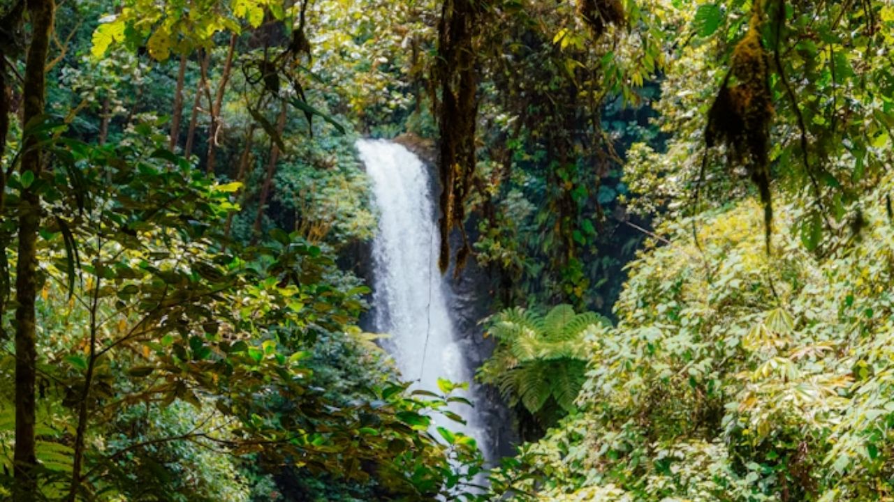 Waterfall cascading through lush Costa Rica rainforest vegetation.