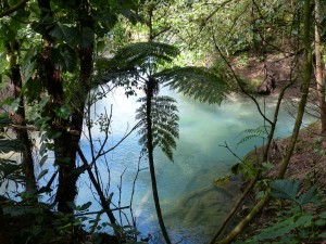 Costa Rica rain forests