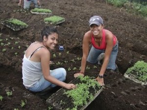 Costa Rica volunteer
