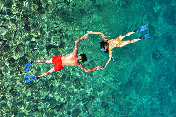 Snorkel, Beach & Wildlife