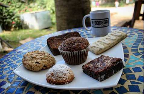Best Restaurants in Tamarindo – Culinary Treats to Seek!