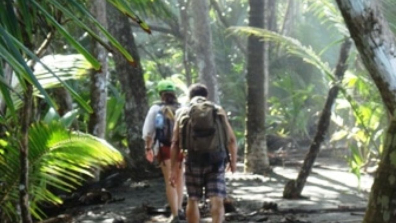 Hikers walking tropical forest trail in Costa Rica wilderness.