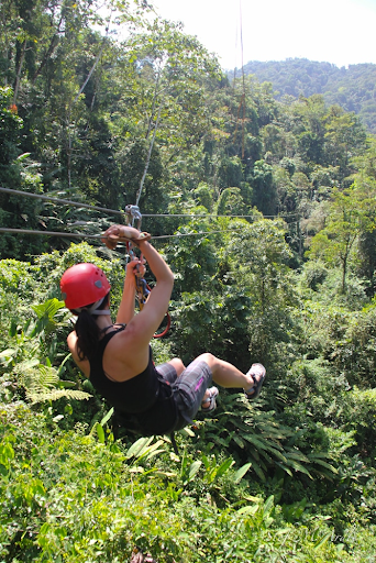 Person ziplining through lush Costa Rican rainforest under a clear sky.