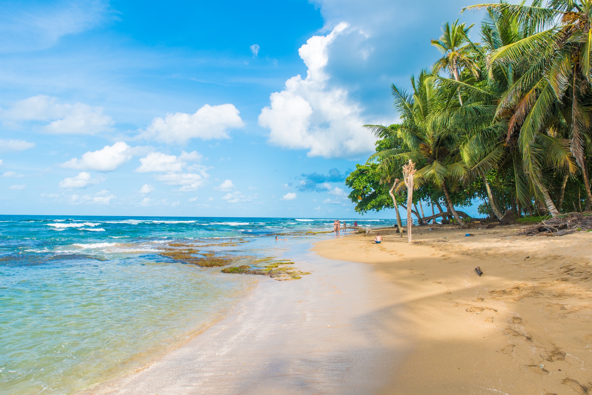 Oswald salario entrada Playa Cocles – Costa Rica's Dreamy Caribbean Gem