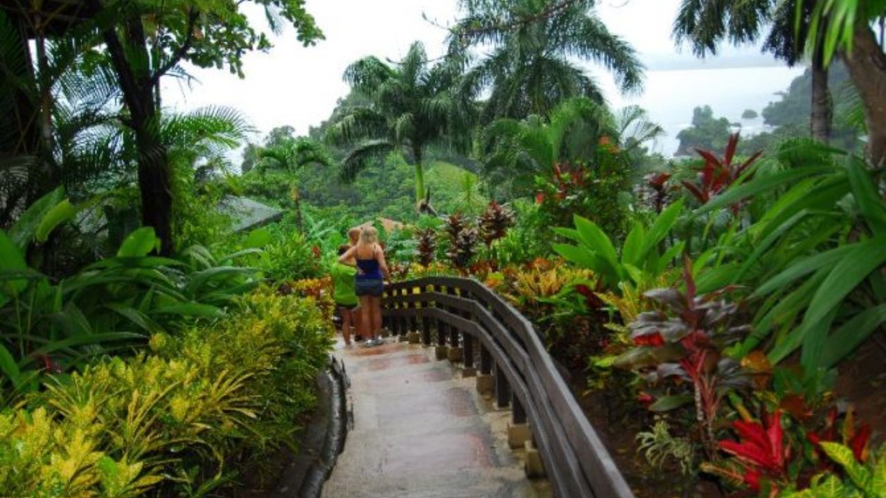 Tulemar garden path overlooking Manuel Antonio coastline and rainforest.