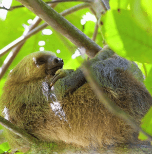 costa rica