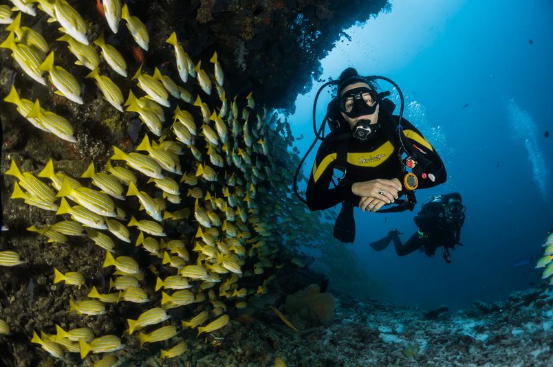 Best Places in Costa Rica for a Scuba Diving Adventure
