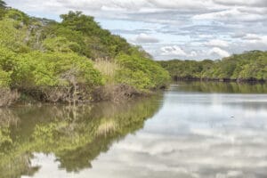 Tempisque River