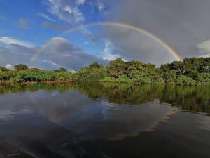 Wetlands of Costa Rica - Caño Negro
