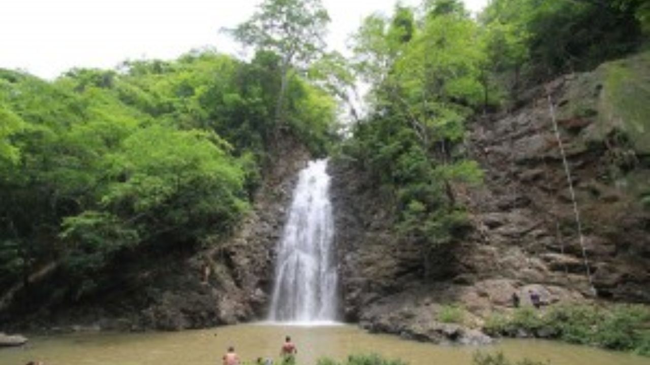 Swimmers enjoying Montezuma Falls cascade in tropical rainforest.